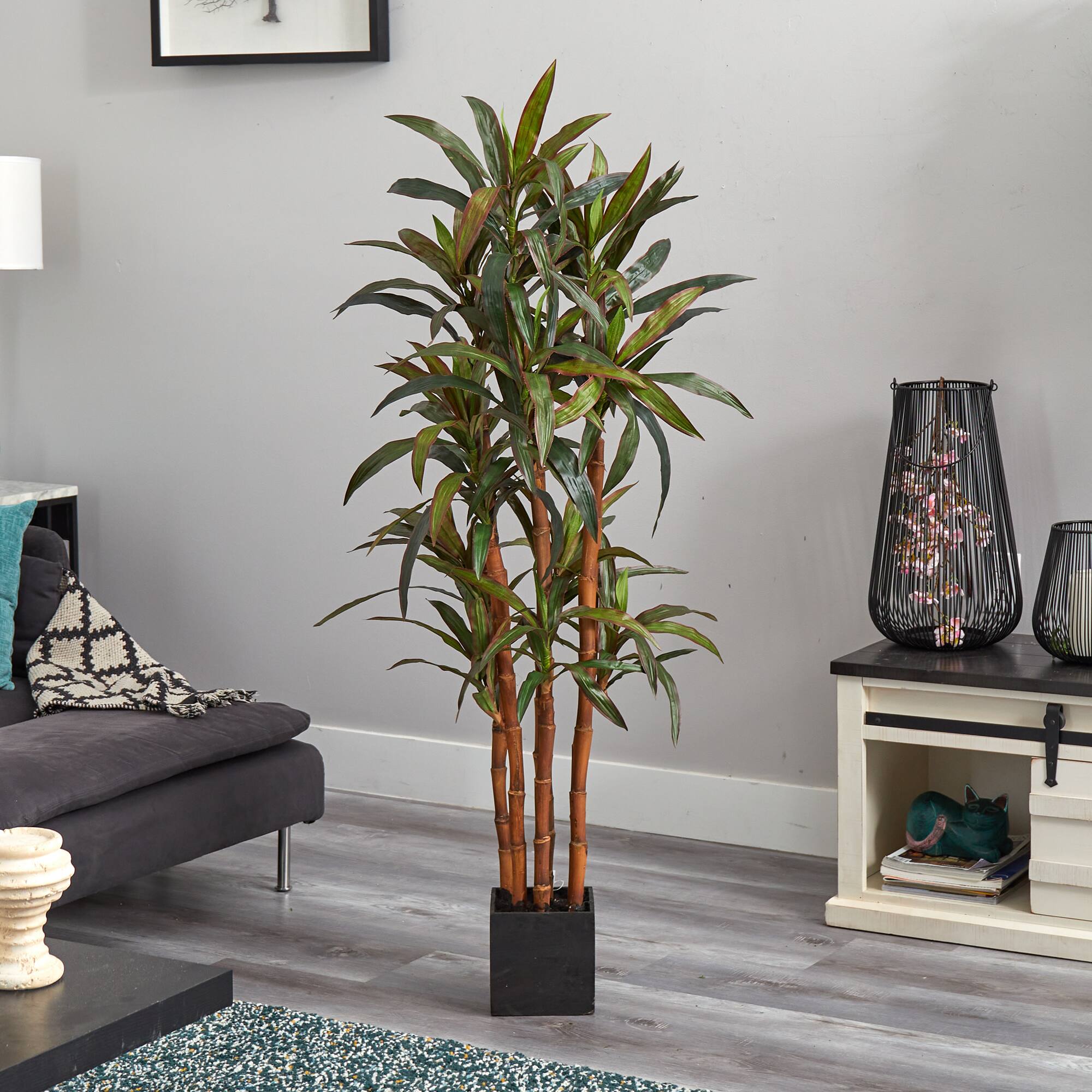 5ft. Potted Yucca Tree